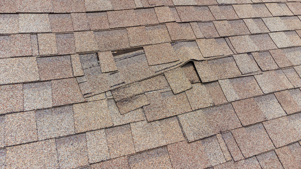 home roof inspection philadelphia