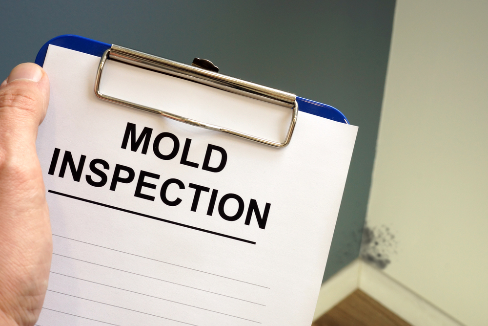 mold inspection philadelphia